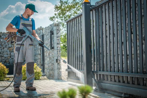Boat and Dock Cleaning in Iowa, LA